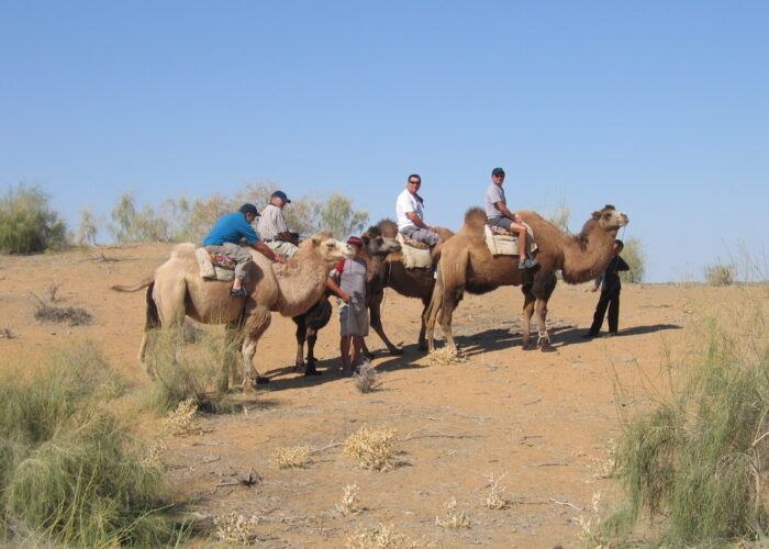 Discover the wonders of Kazakhstan, a land where ancient traditions meet modern marvels. Explore futuristic cities like Astana, natural treasures like the Charyn Canyon and Kolsai Lakes, and immerse yourself in nomadic culture. Whether you're seeking adventure, history, or stunning landscapes, Kazakhstan offers it all.